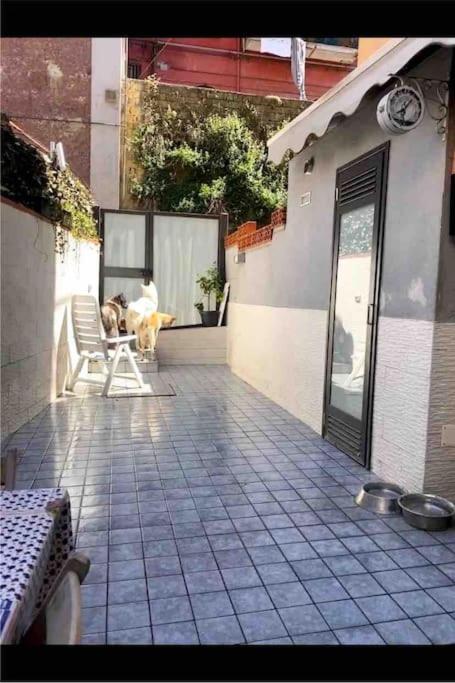 Napoli Centro Casa Con Due Camere E Cucina Buitenkant foto
